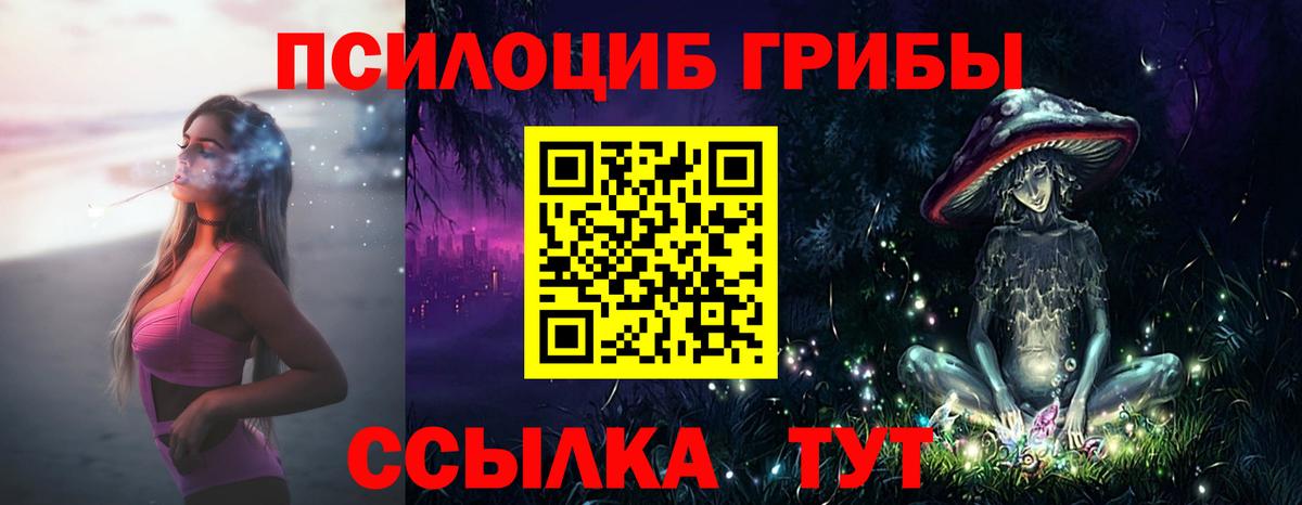 Галлюциногенные грибы ЛСД  где можно купить   Гудермес  Вход с VPN 